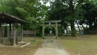 三芳野神社 茅の輪